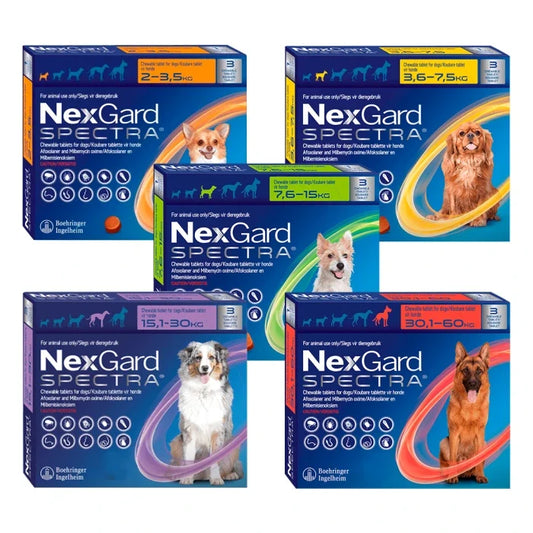 Nexgard Spectra Antiparasitario 3 Comprimido
