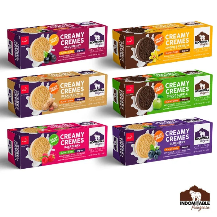 Galleta creamy grain free vegan indomitable