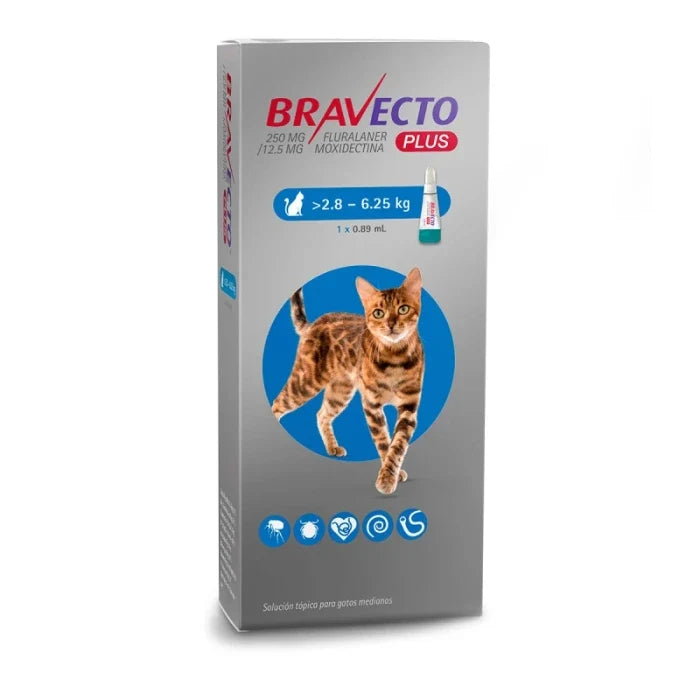 Bravecto Gato Pipeta 2.8 - 6.25 Kg