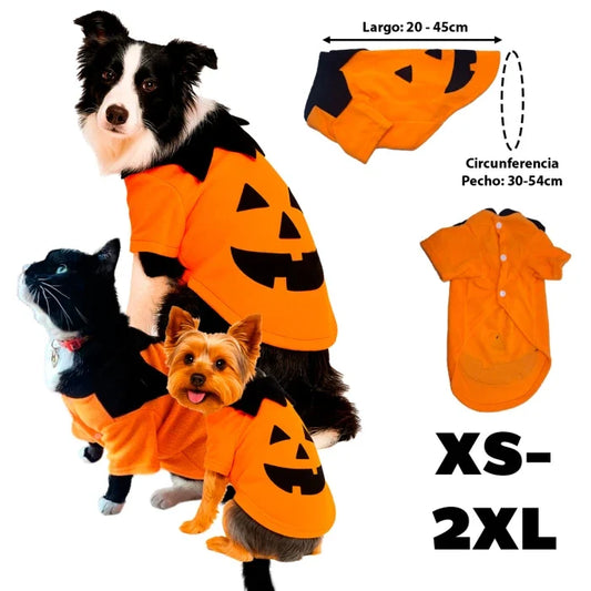Disfraz Halloween de Calabaza para perros y gatos
