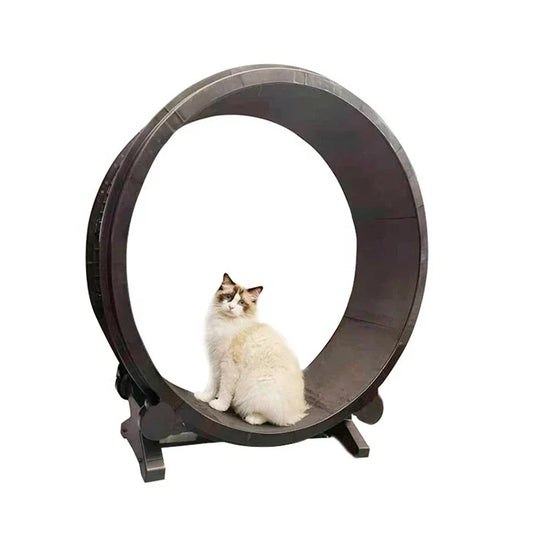 Rueda de Ejercicio para Gatos - imagen 3