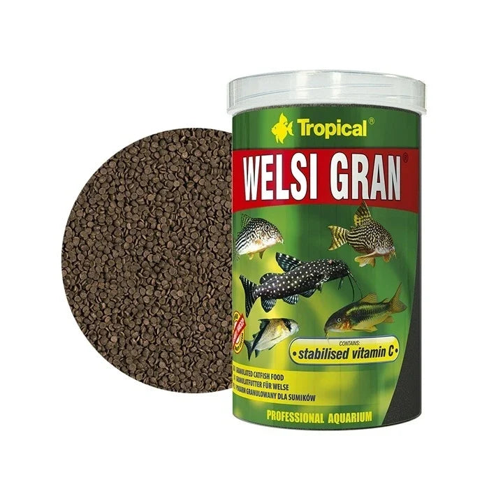 Tropical Welsi Gran