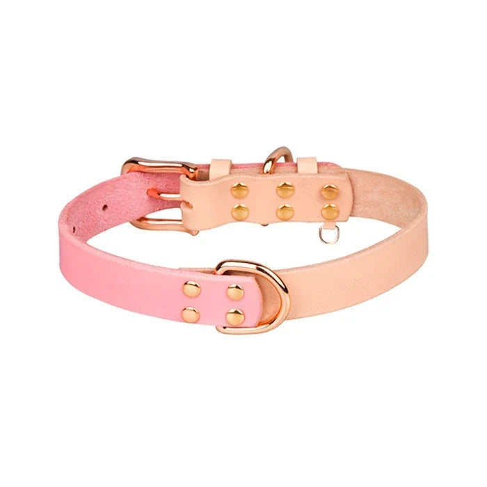 Wonder dog Collar cuero bicolor