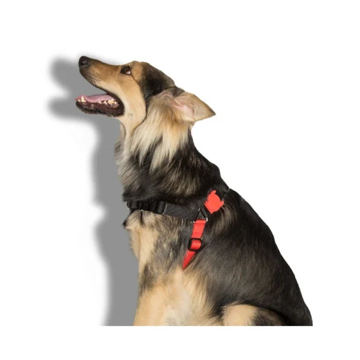 ZeeDog Harness FatBoy Soft-Walk - imagen 1