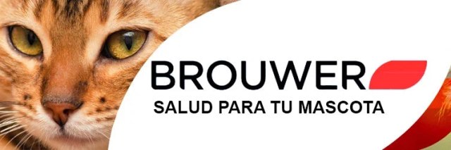 Imagen de marca Brouwer