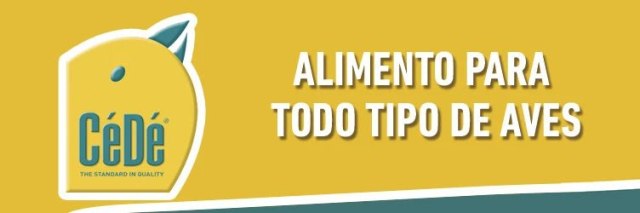 Imagen de marca Cede
