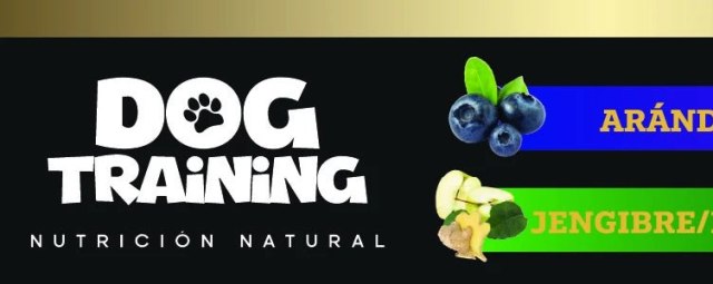 Imagen de marca Dog training