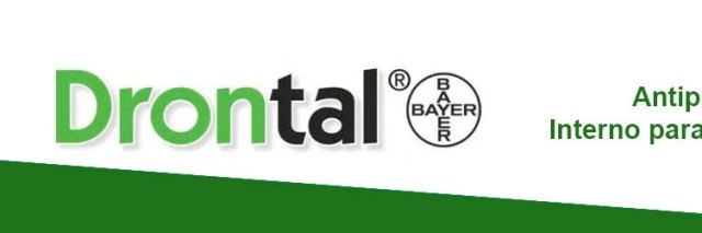 Imagen de marca Drontal