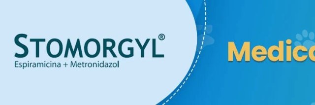 Imagen de marca Stomorgyl