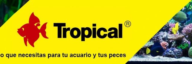 Imagen de marca Tropical