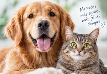 Golden retriever y gato, gráfica aprobada BioMascota