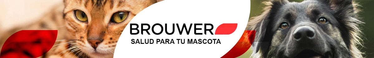 Brouwer