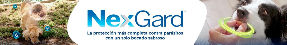 Nexgard