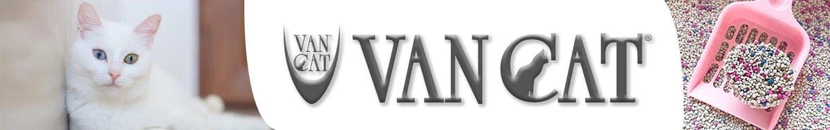 Van Cat