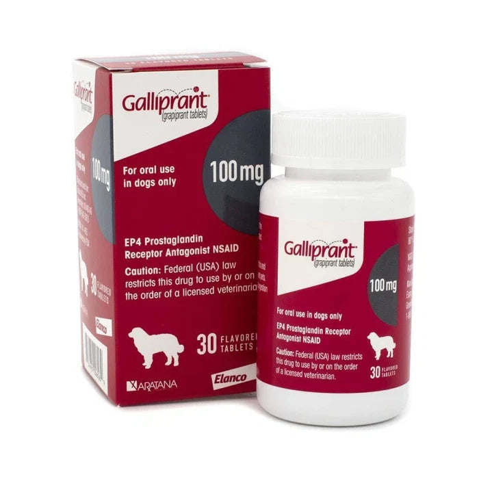 Galliprant 100mg - 30 comprimidos - imagen 1