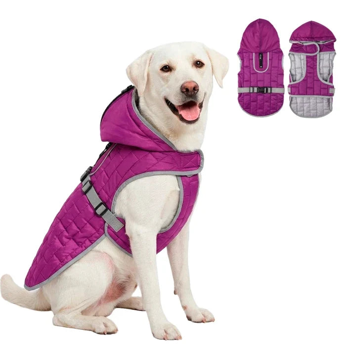 Parka Reversible para perro Morado