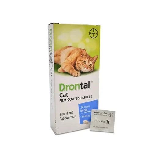 Drontal Gatos 24 Comprimidos Display - imagen 1