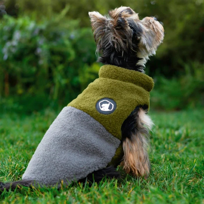 Chaqueta de chiporro colores para perros y gatos - Verde