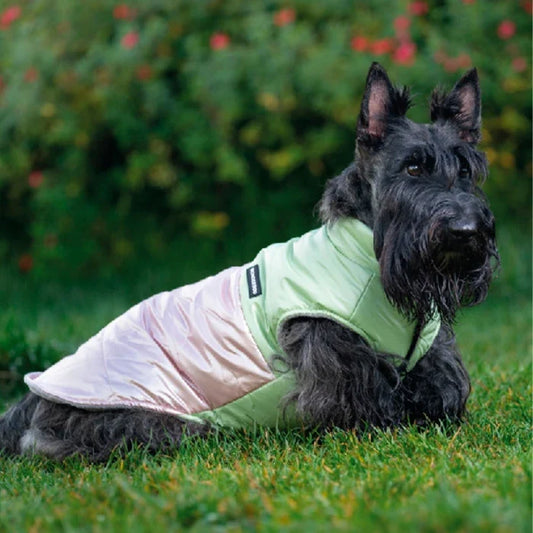 Cortavientos para perros y gatos - Verde
