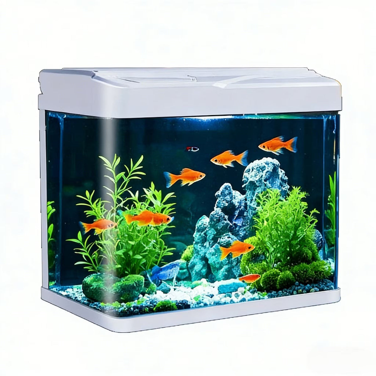 Mini Acuario Completo con Luz LED y Filtro Marben Pets 9.2L