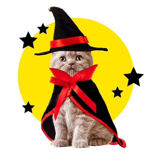 Disfraz para gatos brujas sombrero con capa