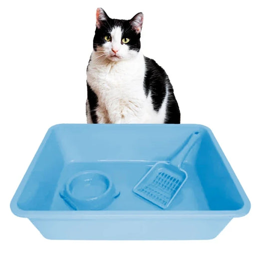 Pack Sanitario de gatos (Baño-Pala-Plato 32x43x9) Celeste - imagen 1