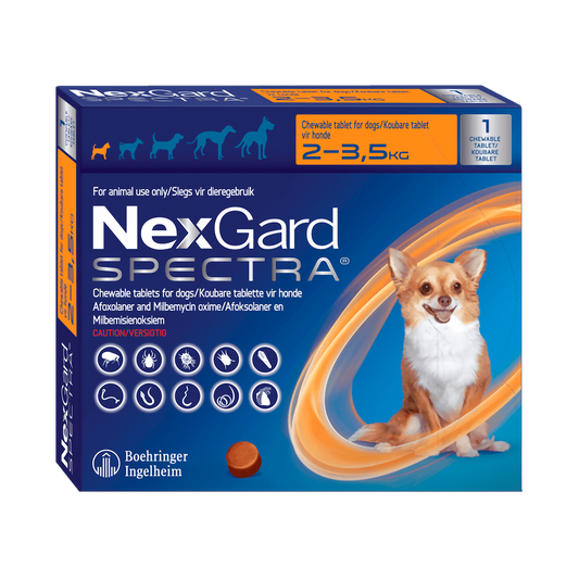 Nexgard Spectra Antiparasitario 1 COMPrimido