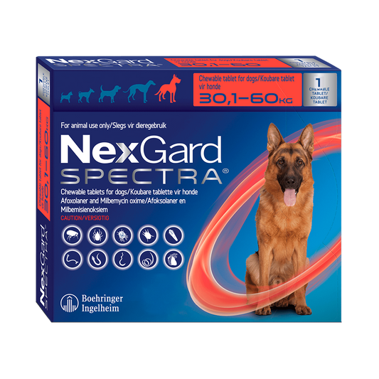 Nexgard Spectra Antiparasitario 1 Comprimido 30.1 - 60 KG
