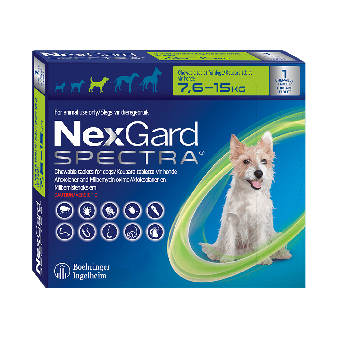 Nexgard Spectra Antiparasitario 1 COMPrimido