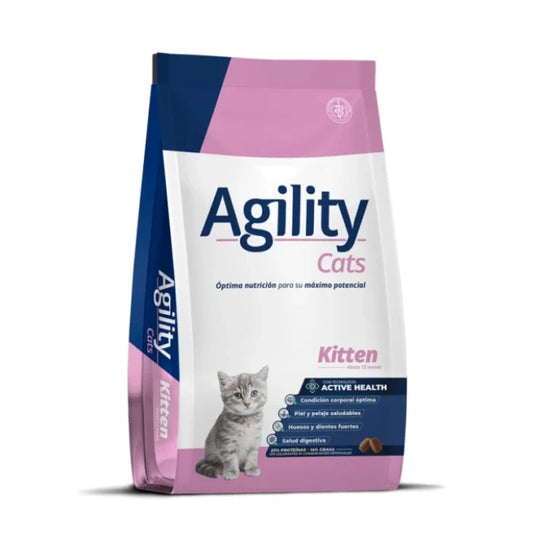 Agility Cat Kitten