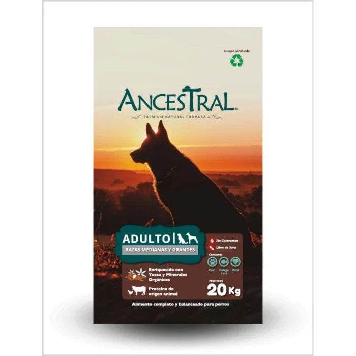 Ancestral Adulto