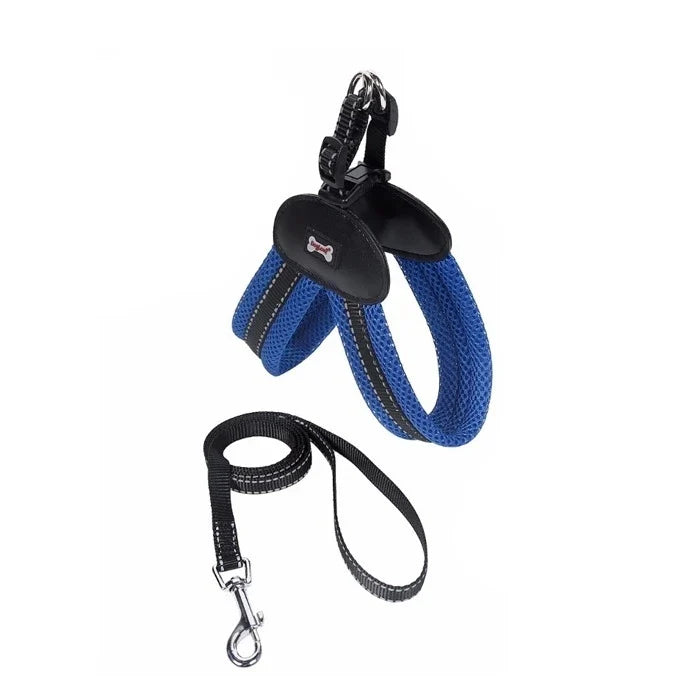 Arnes para Perro en V Azul
