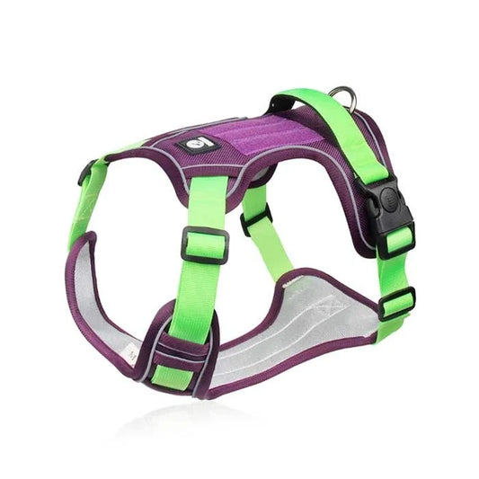 Arnés WonderDog Duomm Verde y Morado