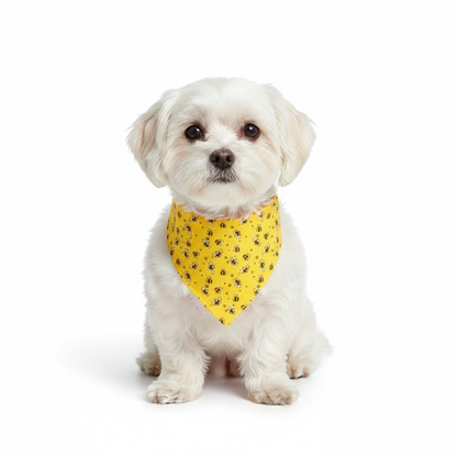 Bandana Amarilla - Perro