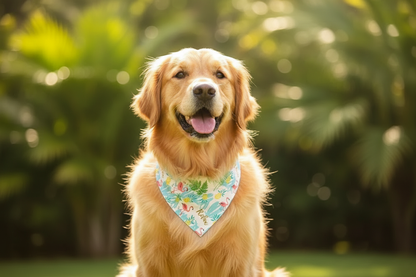Bandana Tropical - Foto Web