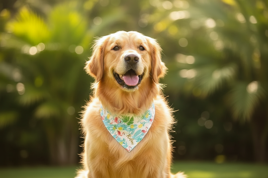 Bandana Tropical - Foto Web