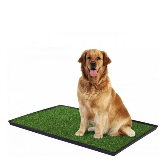 Baño Ecológico Perro Extra Grande - imagen 1