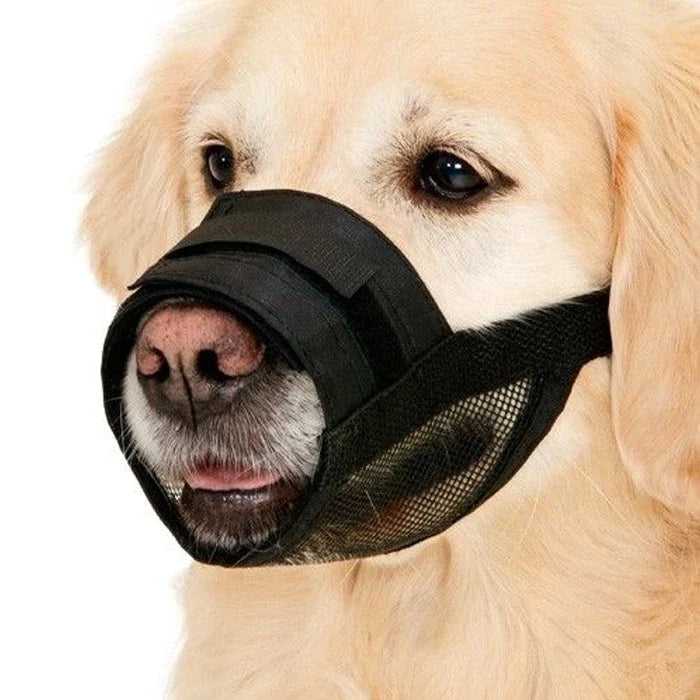 Bozales De Nylon Con Ajuste De Velcro