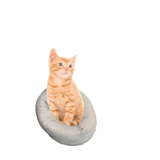 Cama Pequeña para perros y gatos - imagen 1