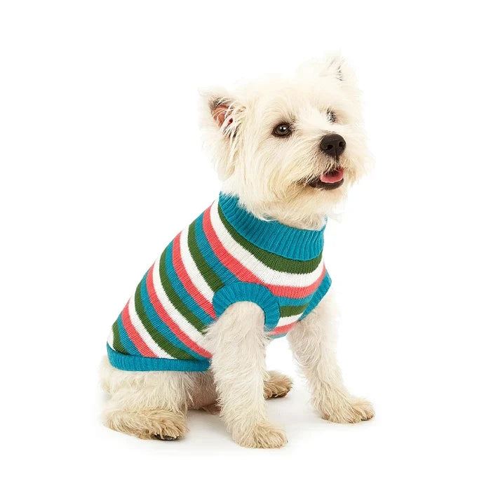 Chaleco franjas colores Macho para perros y gatos