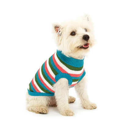Chaleco franjas colores Macho para perros y gatos