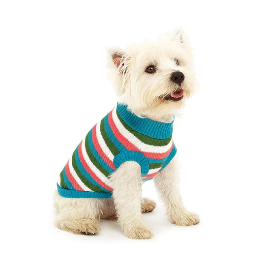 Chaleco franjas colores Macho para perros y gatos
