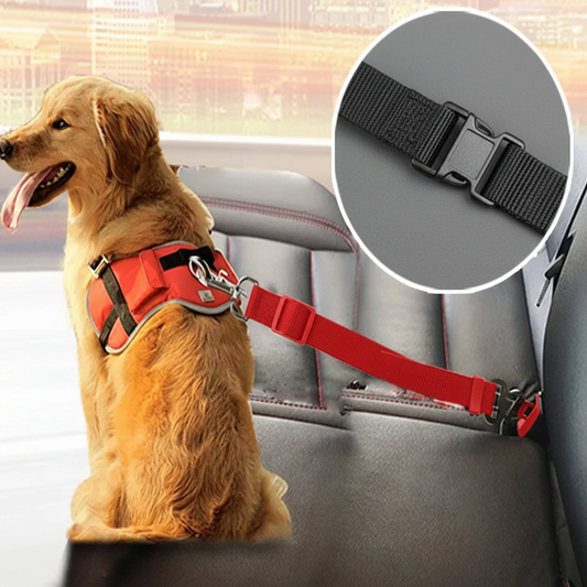 Cinturón de seguridad para mascotas