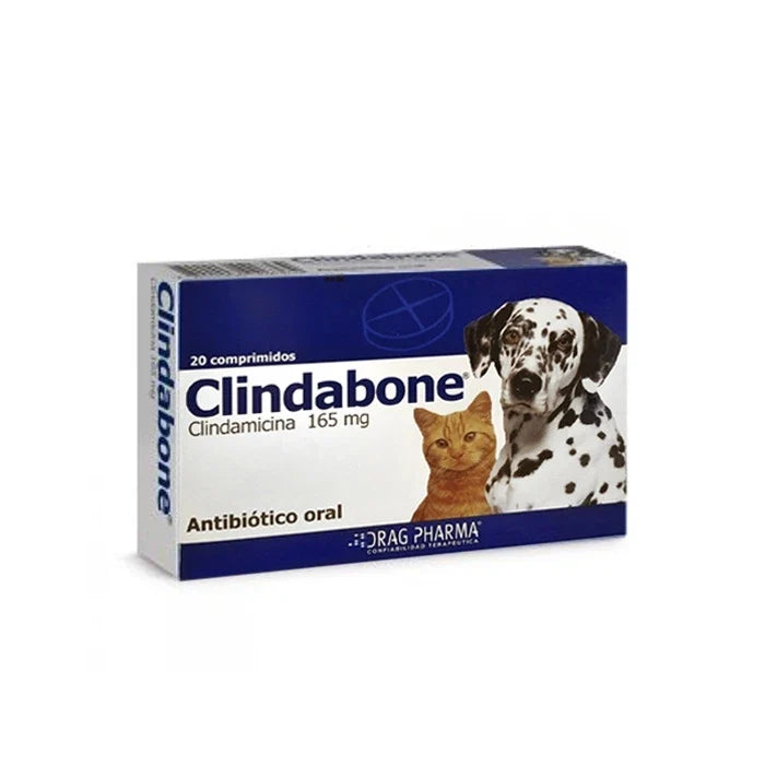 Clindabone Antibiotico para Perro y Gatos - imagen 1