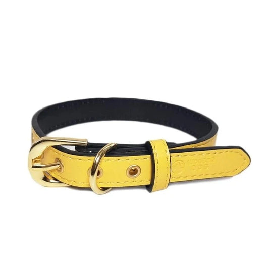 COLLAR 1.9X45 CM - Pethome
