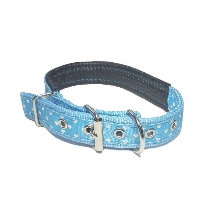 Collar Acolchado Diseños - Pethome