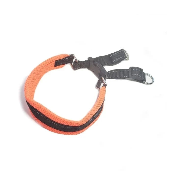 Collar Acolchado