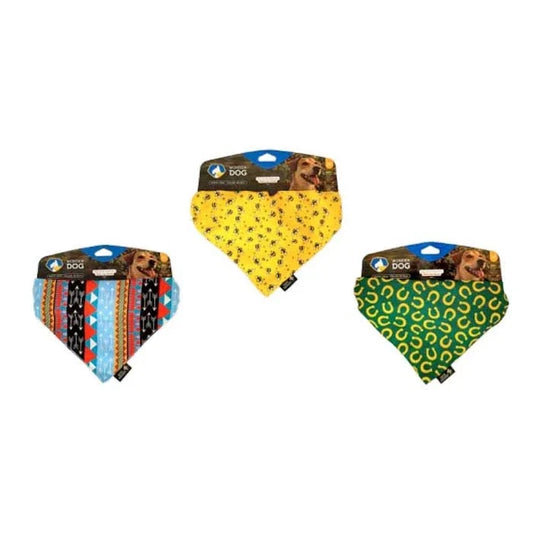 Collar con bandana diseños surtidos