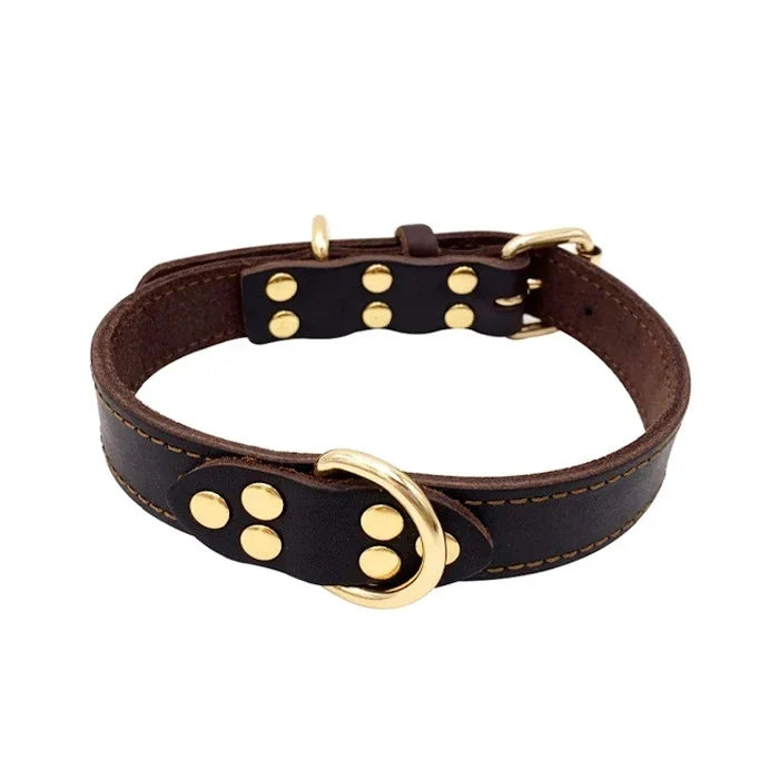 Collar Eco Cuero con Doble Argolla para Perro