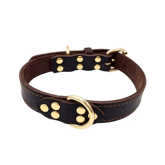 Collar Eco Cuero con Doble Argolla para Perro